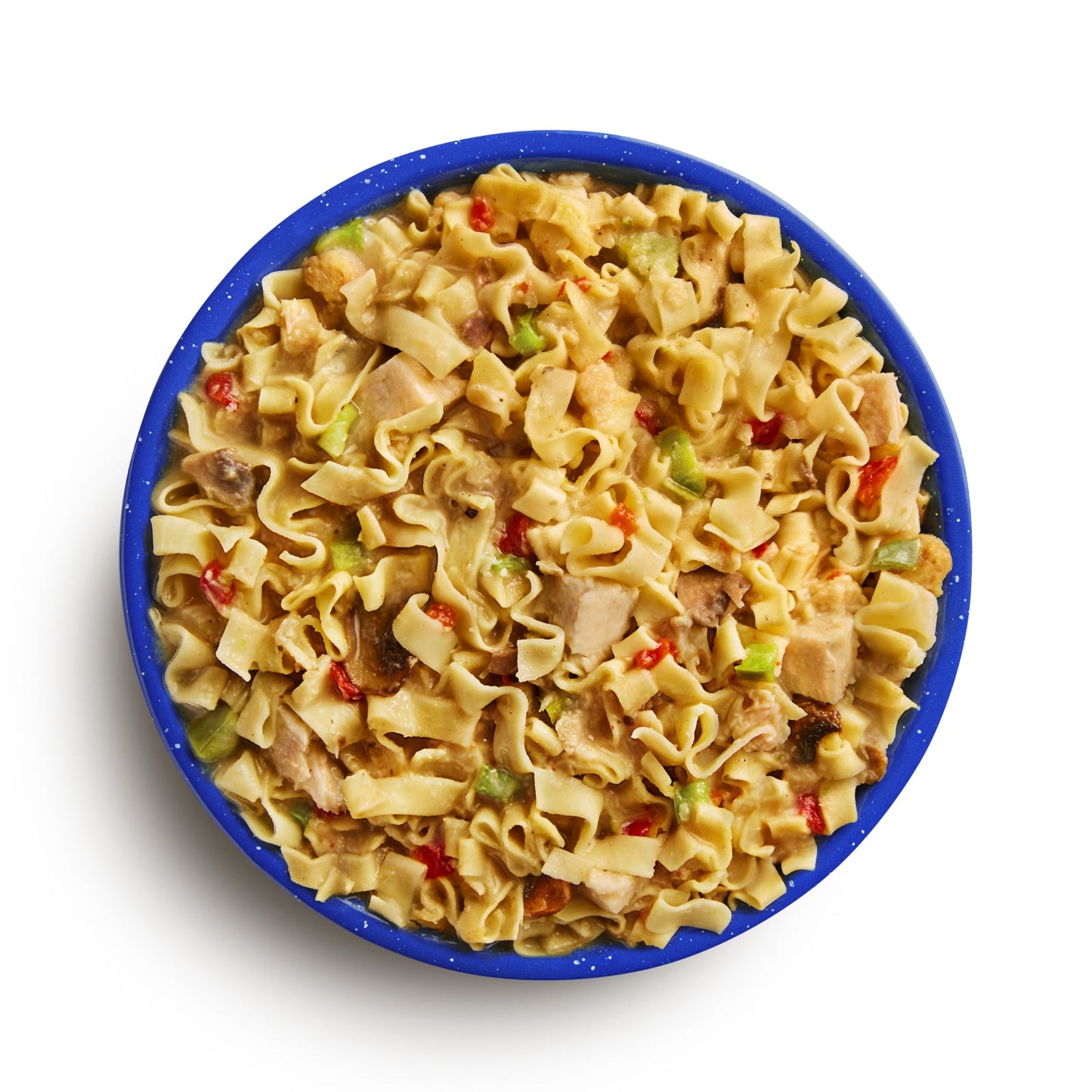 Mountain House Freeze-Dried Homestyle Chicken Noodle Casserole  - #10 Can