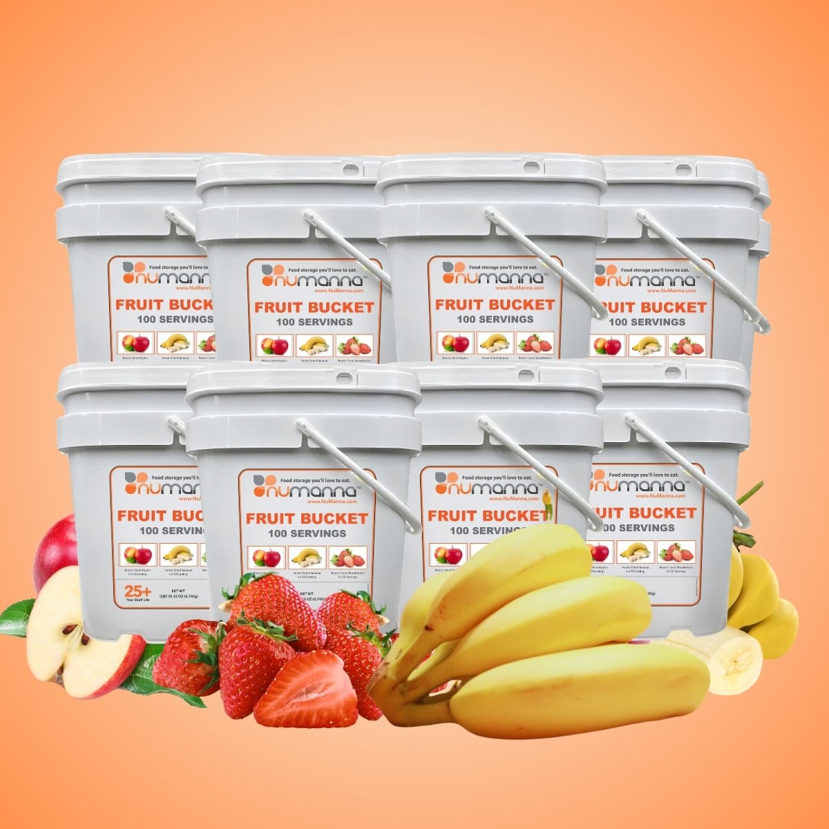 NuManna Dozen Bulk Emergency Freeze-Dried Fruit | 12 Buckets (New)