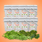 NuManna Dozen Vegetable Pack – Bulk Emergency Freeze-Dried Vegetables | 12 Buckets (New)